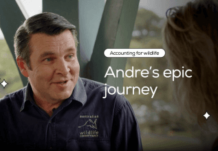 Accounting for Wildlife